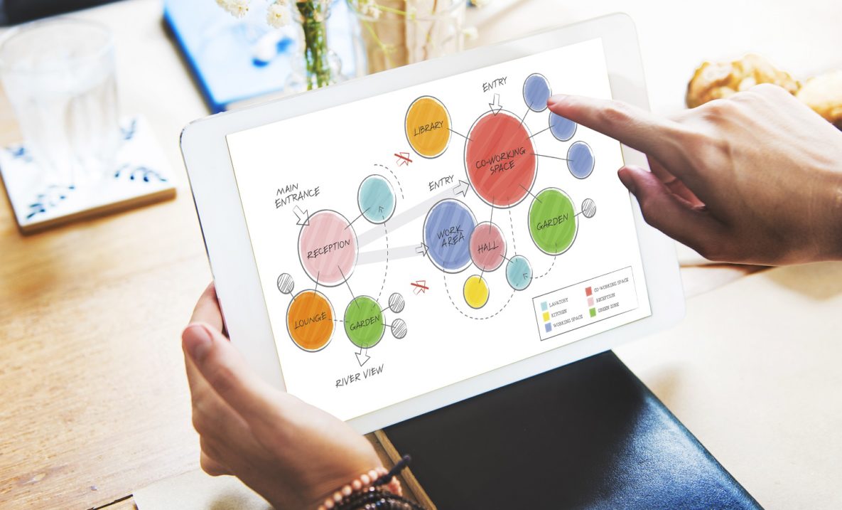 A person using a mind-mapping app.